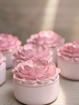 Miss Camellia