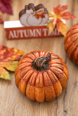 Pumpkin Candle – Raven or Classic Lid
