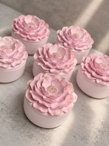 Miss Camellia