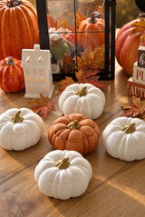 Velvet Pumpkin