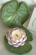 Dusky Lilac