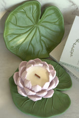 Dusky Lilac