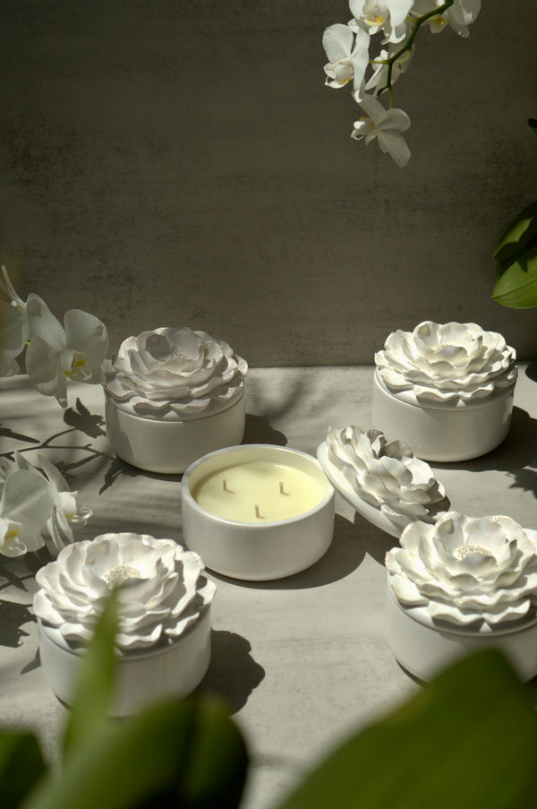 White Camellia