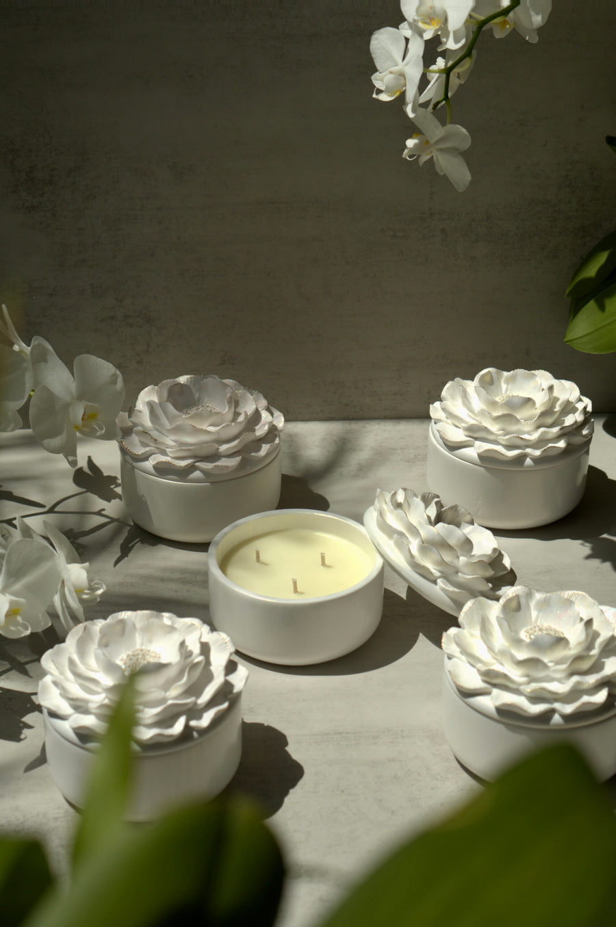 White Camellia